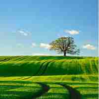 百度输入法截图